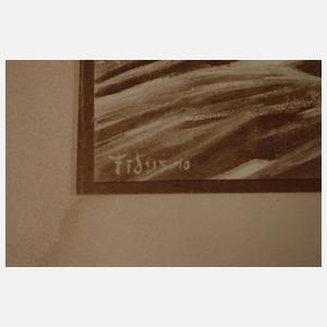 Prof. Hugo Höppener alias "Fidus", "Lichtgebet"