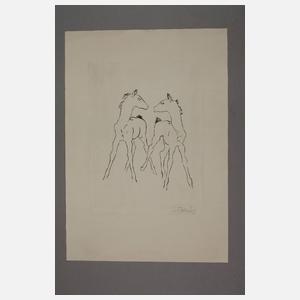 Prof. Renée Sintenis, Zwei junge Fohlen