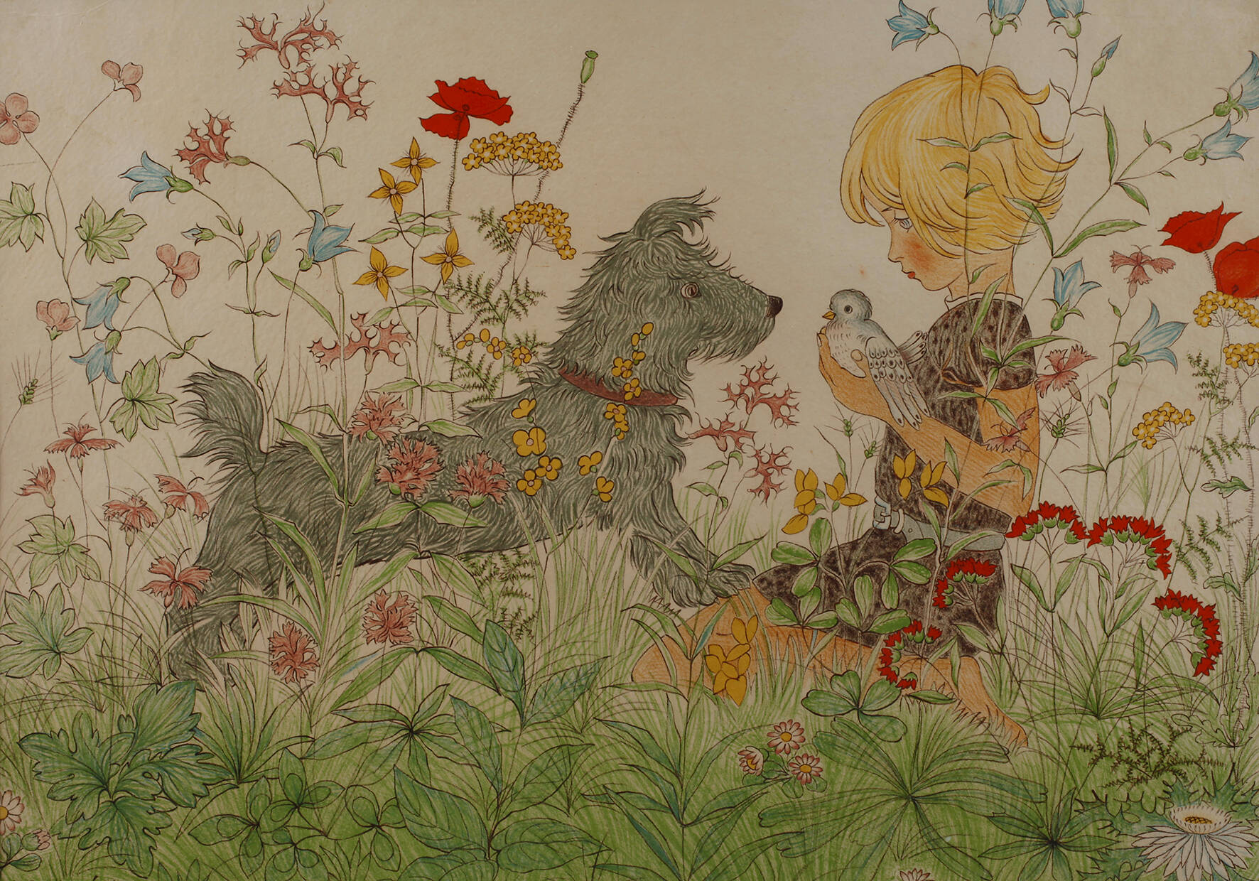 Bella Vichon, Spiel in der Wiese