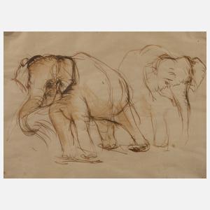 Adelaid von Block-Quast, Tierstudie mit Elefanten