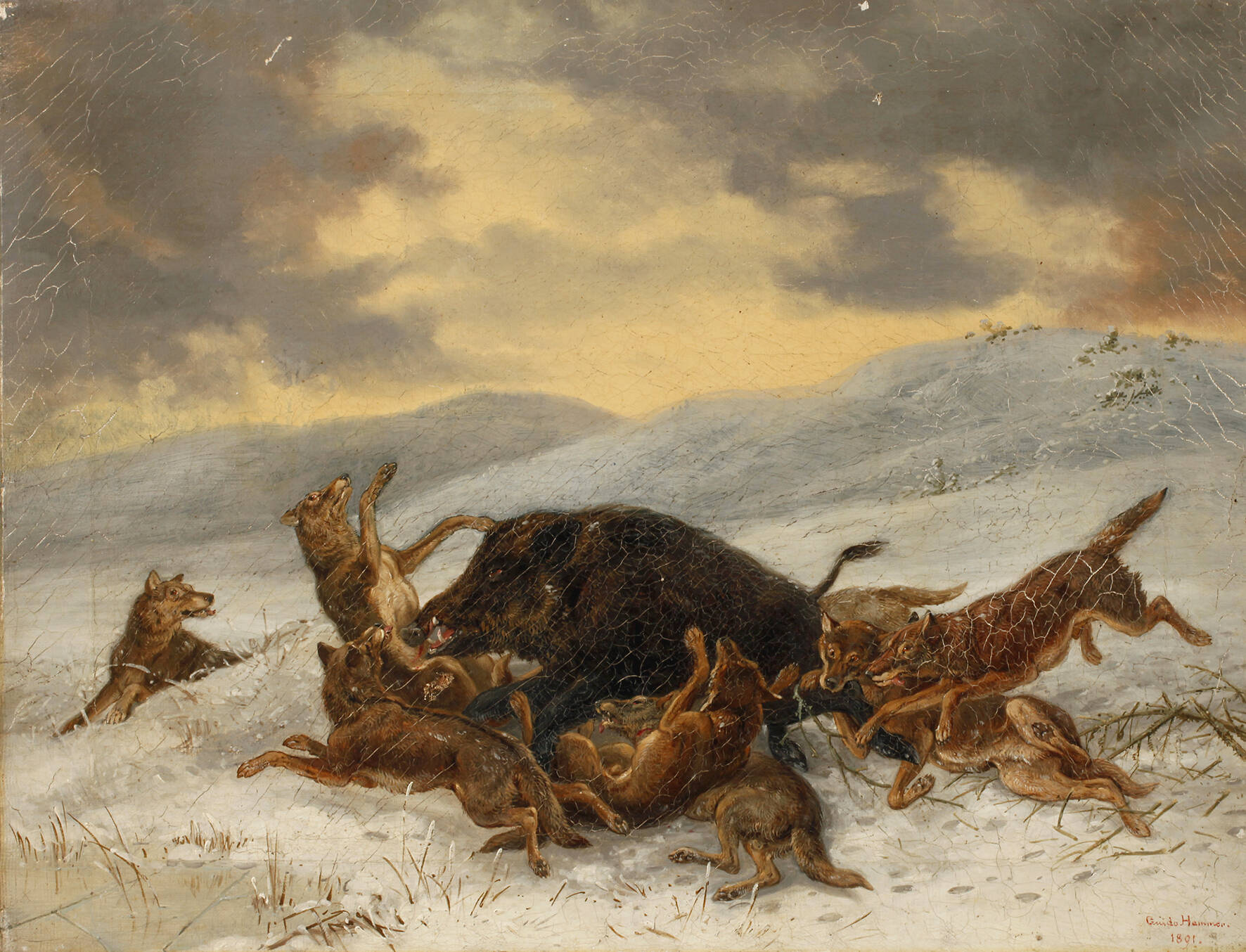 Guido Hammer, Winterliche Sauhatz