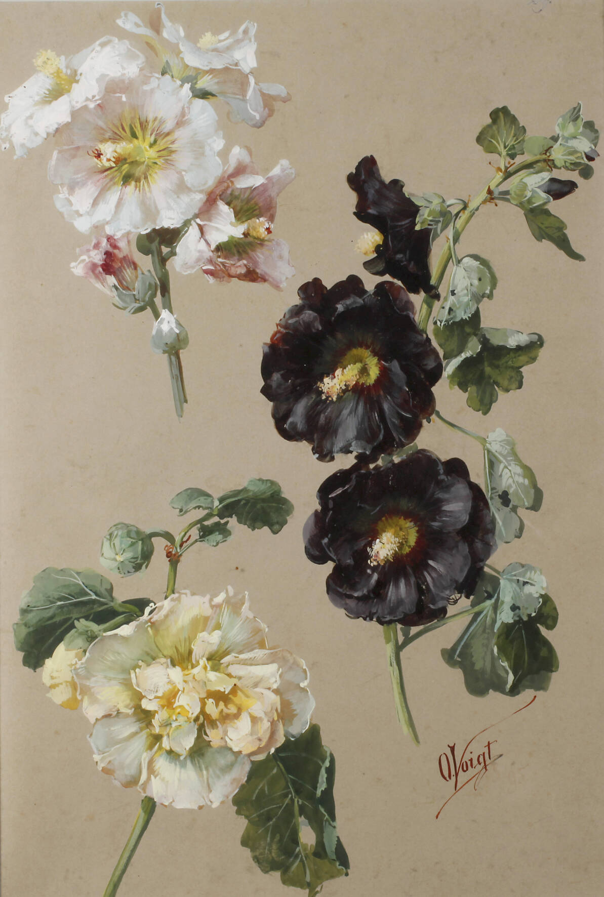 Otto Eduard Voigt, Paar Pflanzenstudien