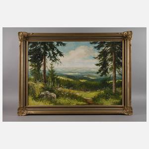 Manfred Feiler, Im Obervogtland