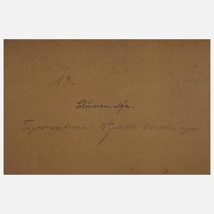 Walther Gasch. "Tigerreiterin"