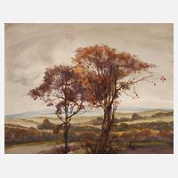 Paul Groß, Herbst im Mittelgebirge111