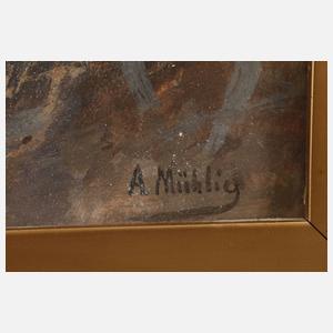 Albert Ernst Mühlig, In der sächsischen Schweiz