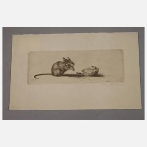 Prof. Richard Müller, "Maus und Nuß"