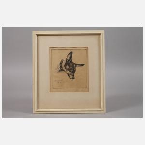 Prof. Richard Müller, "Mein Hund Boy"