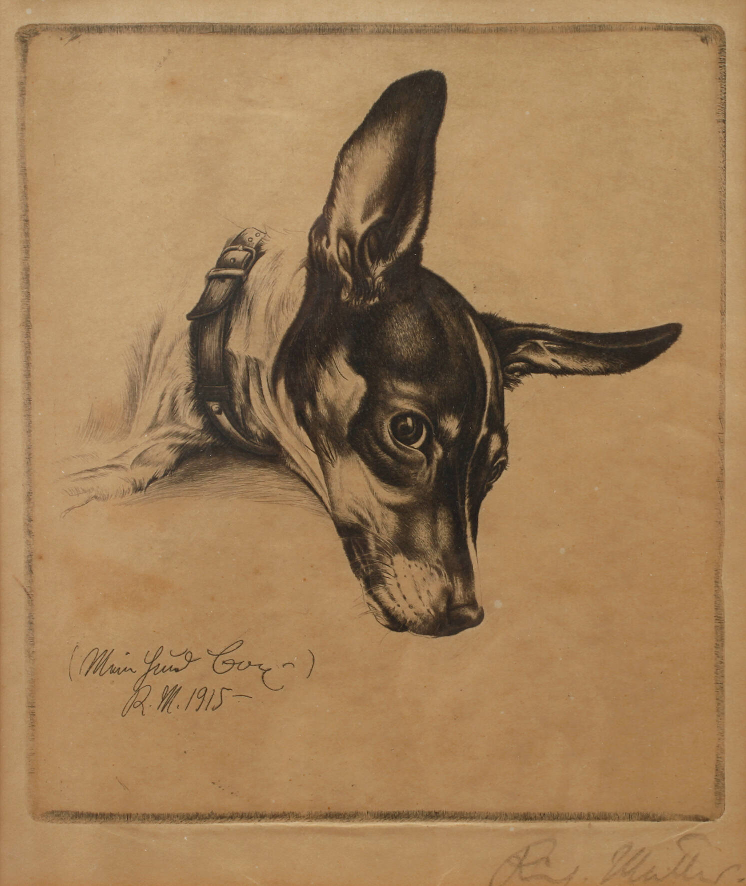 Prof. Richard Müller, "Mein Hund Boy"