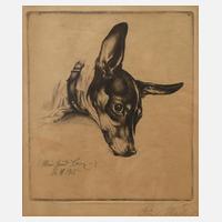 Prof. Richard Müller, "Mein Hund Boy"111