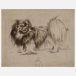 Prof. Richard Müller, "Pekinese"