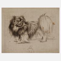 Prof. Richard Müller, "Pekinese"111