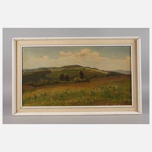 Richard Sachs, Vogtländische Sommerlandschaft