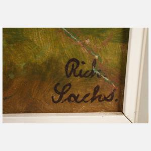 Richard Sachs, Vogtländische Sommerlandschaft