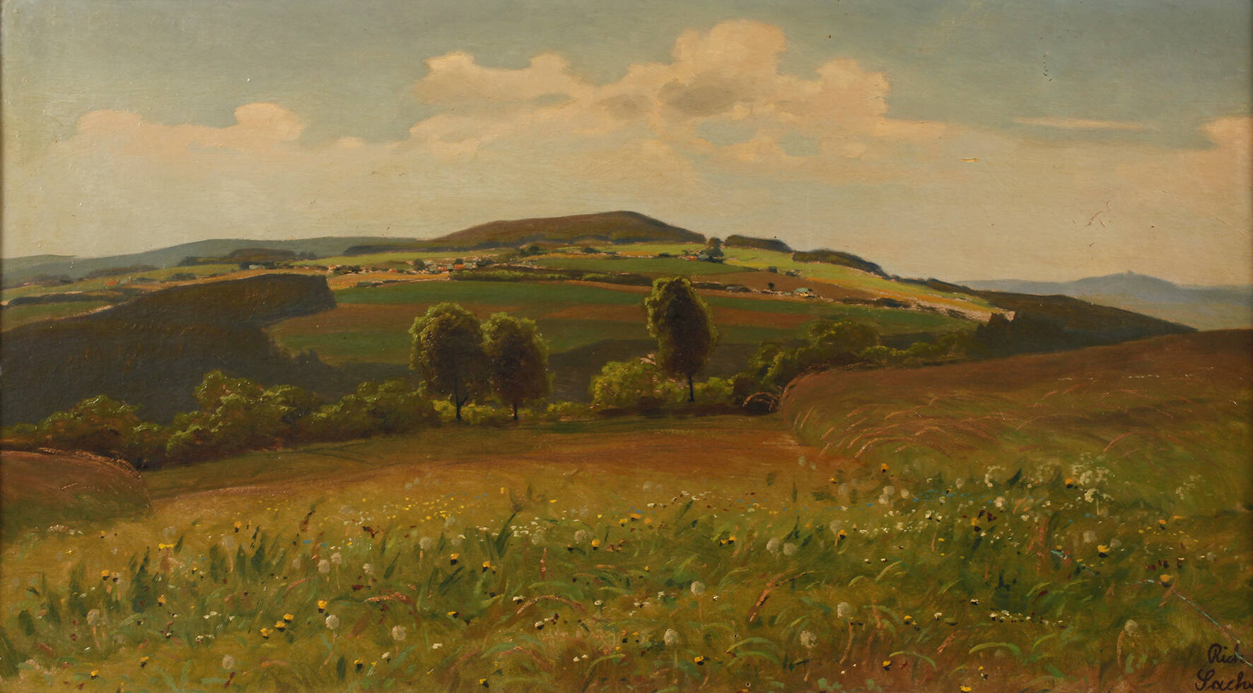 Richard Sachs, Vogtländische Sommerlandschaft