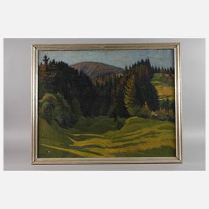 Erzgebirgslandschaft