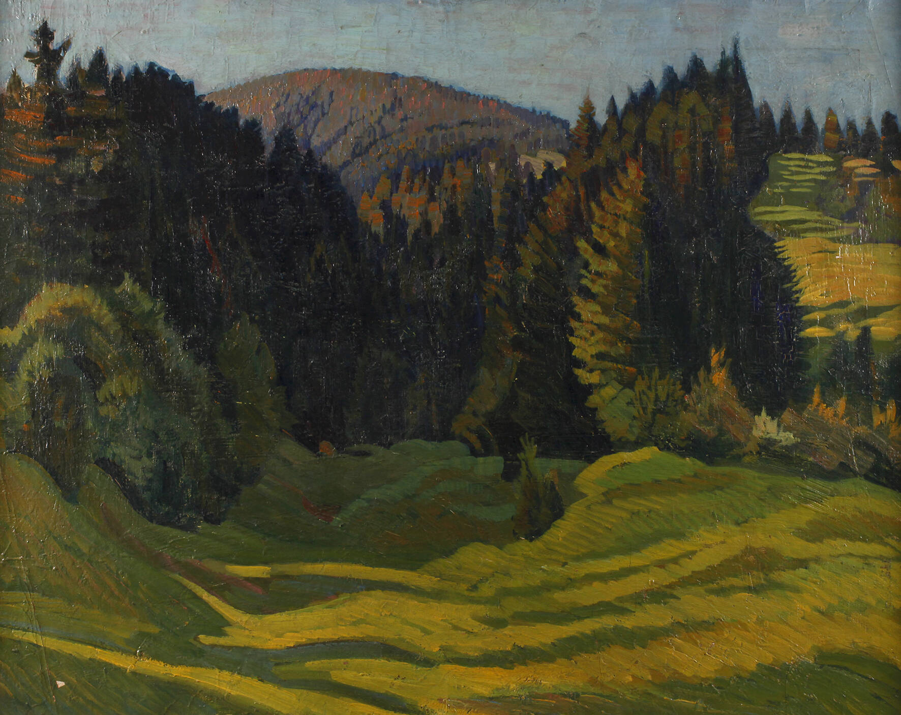 Erzgebirgslandschaft