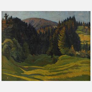 Erzgebirgslandschaft