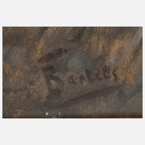 Hans von Bartels, Damenportrait