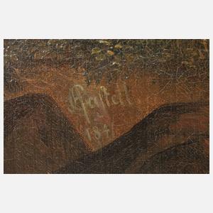 Anton Castell, Der Rheinfall bei Schaffhausen