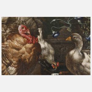 Josef Chocholatz, Federvieh an der Quelle