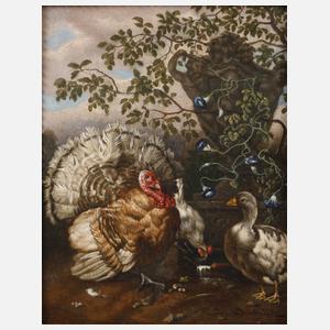 Josef Chocholatz, Federvieh an der Quelle