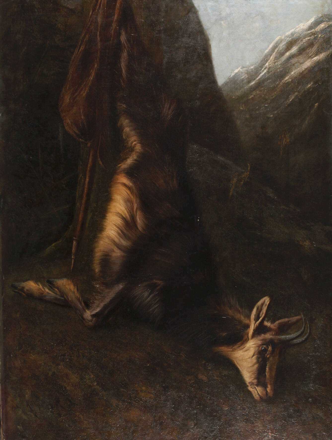 Rezsö Kárpáty, Erlegte Gams