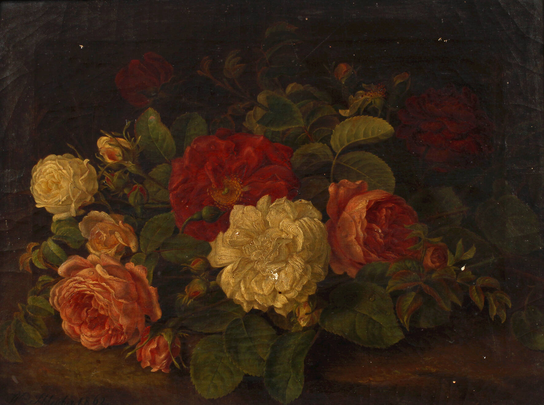 Wilhelmine Schleicher, Rosenstillleben