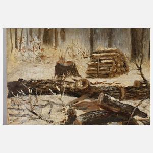 Baumeinschlag im Winter