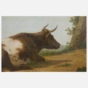 Ruhender Stier