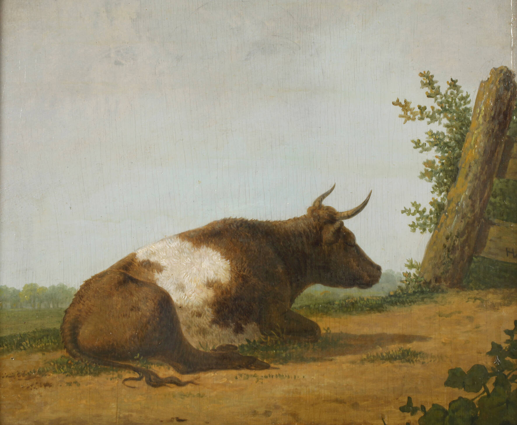 Ruhender Stier