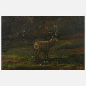 Hirsche auf einer Lichtung