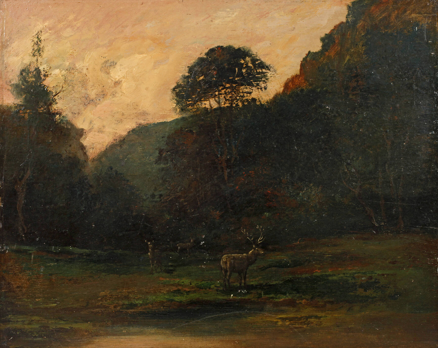 Hirsche auf einer Lichtung