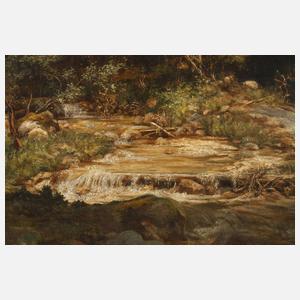 Romantische Waldlandschaft