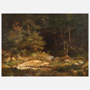 Romantische Waldlandschaft