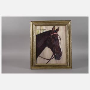 Hellmut Bachrach-Barée, attr., Pferdeportrait