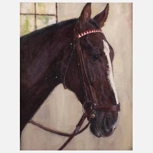 Hellmut Bachrach-Barée, attr., Pferdeportrait