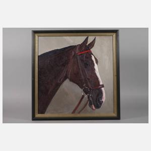 Hellmut Bachrach-Barée, „Kopf eines Reitpferdes“