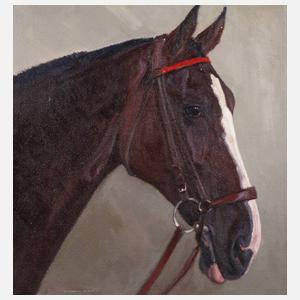 Hellmut Bachrach-Barée, „Kopf eines Reitpferdes“