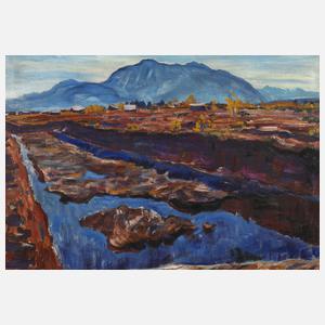 Arnold Balwé, Mooranstich