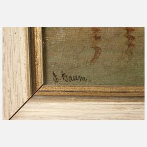 E. Baum, Canal Grande in Venedig