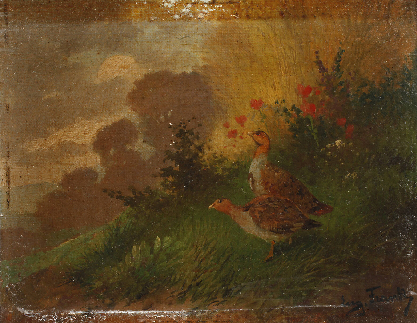 Eugen Frank, Rebhühner