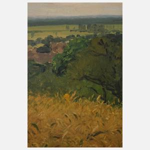 Prof. Friedrich Kallmorgen, Sommerlandschaft