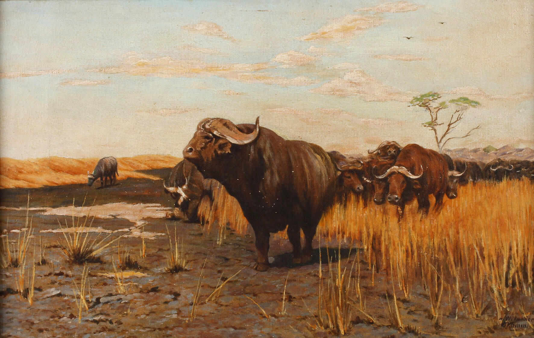 T. Klemm, Büffel in der Steppe