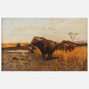 T. Klemm, Büffel in der Steppe