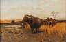 T. Klemm, Büffel in der Steppe