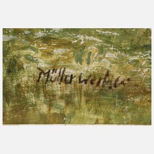 Peter Paul Müller-Werlau, Flusslandschaft