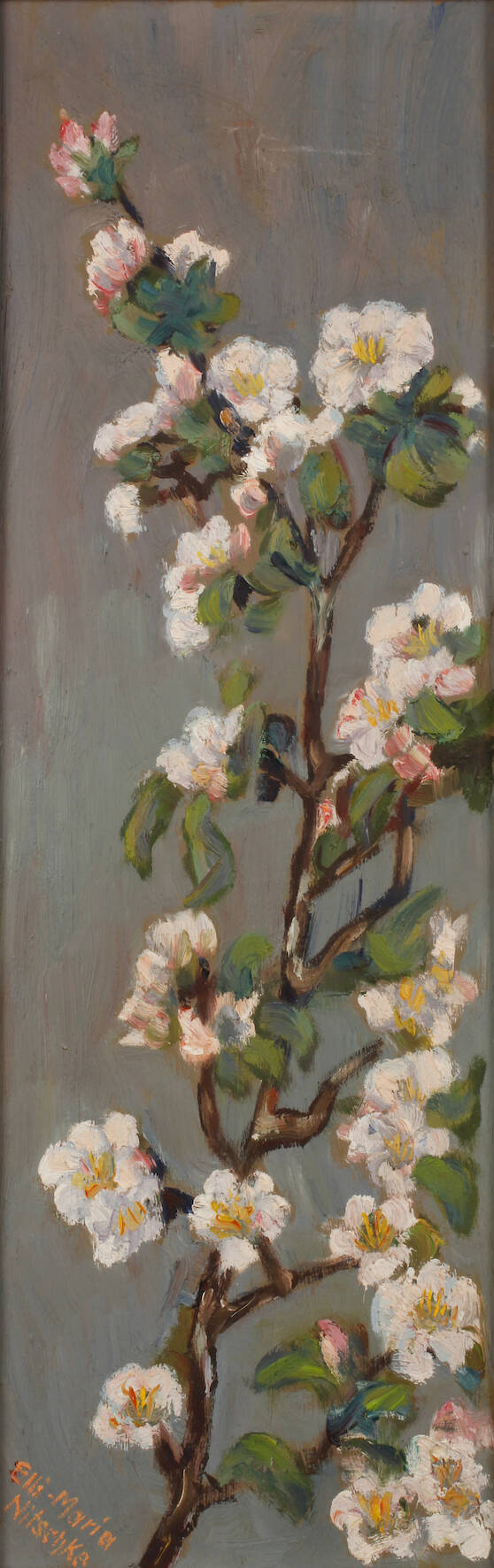 Elli-Maria Nitschke, Apfelzweig