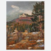 Auktionshaus Mehlis Auktionen