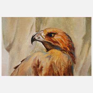 Rehm, Steinadlerpaar im Horst